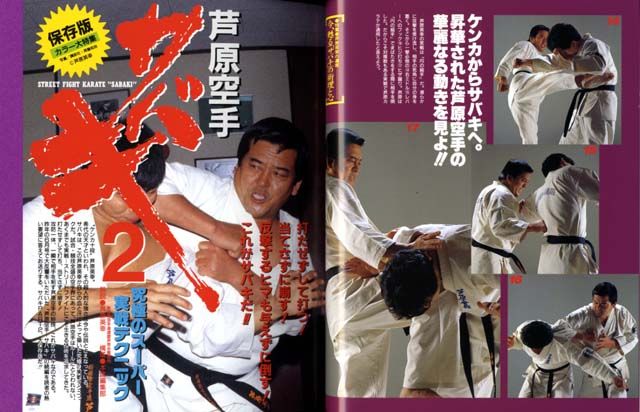 Myth of Hideyuki Ashihara.KARATE LECTURE BOOK  