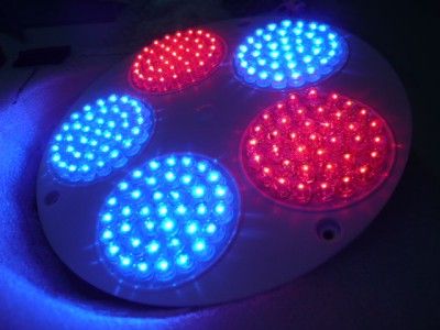 220V LED Grow Light Lamp Vegetation Flowering BLUE RED Hydroponic 