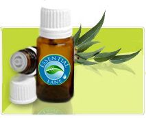 Eucalyptus Essential Oil 1/2oz   1oz *BUY3 GET1 FREE*  