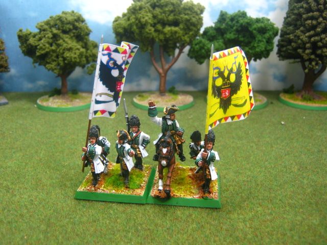 28mm SYW DPS painted Austrian Grenadier Btln FRSA505  