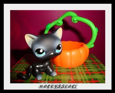 Littlest Pet Shop Cuddliest #994 Black Cat & Pumpkin  