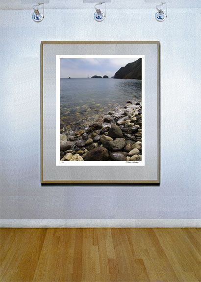 Channel Islands Scorpion Beach HUGE Art Photo  