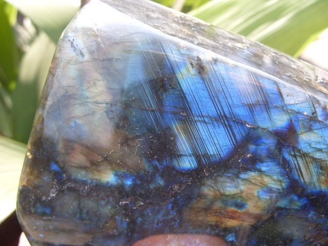 97LB NATURAL GREEN BLUE TWO FACES LABRADORITE QUARTZ CRYSTAL 