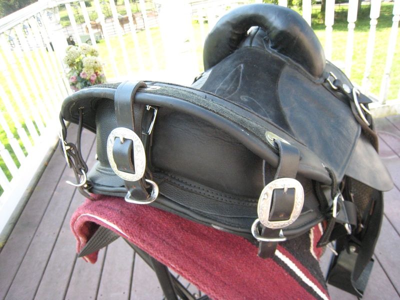 EZ Fit Treeless Saddle  