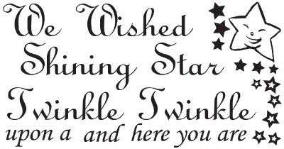 We Wished upon a Shining Star Twinkle Twinkle Baby Nursery Quote Wall 