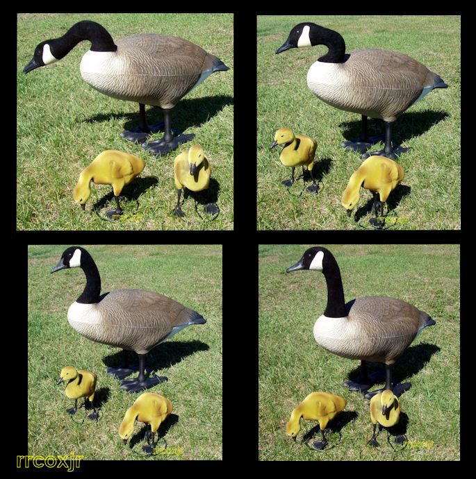 BIGFOOT BIG FOOT CANADA GOOSE DECOY YARD LAWN ART DECOR ORNAMENT+2 