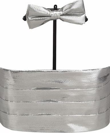 Silver Lame Cummerbund and Bow Tie  