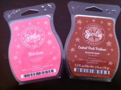 Scentsy Wax Bar Lot Central Park Pralines Flirtatious  