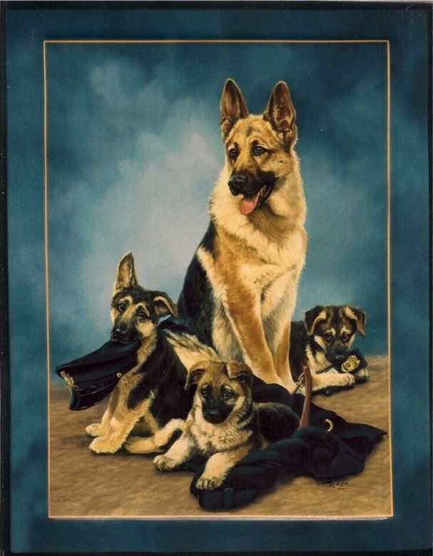 German Shepherd Dog Mom & Pups, The Rookies, impressive shimmering 