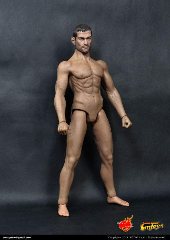   CmToys Accessory   Muscular Body Version HJ002 (Body Only) G  