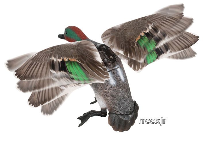 EDGE RAPID FLYER LUCKY DUCK TEAL MOTION DECOY NEW 605093731116  