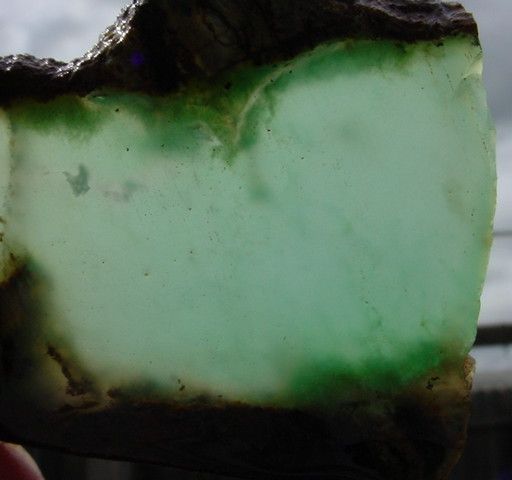 Nice Old Australian CHRYSOPRASE Rough ~ RockPile  