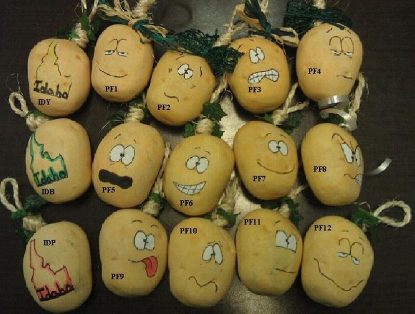 Hand Painted Potato Ornaments  