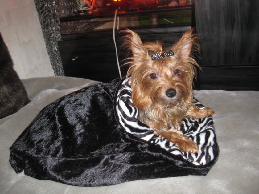 ZEBRA FAUX FUR CUDDLE SNUGGLE SACK BLANKET CAT DOG PET BED  