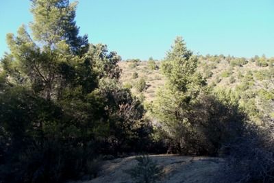   Goldwater project which was open pit mined by my uncle in the 80s